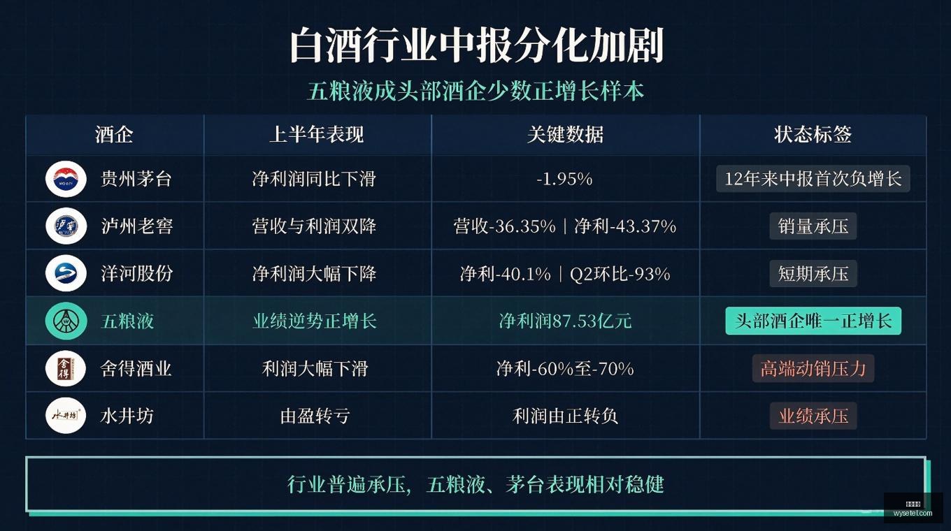 外滩大会,体温测量指,深度解析,必威体育,必威平台,体育竞猜,足球投注,必威app
